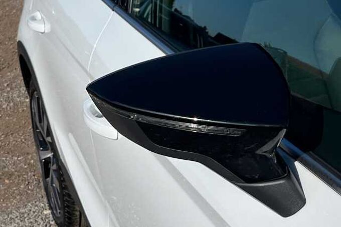 SEAT Arona 1.0 TSI 115 XPERIENCE Lux 5dr DSG